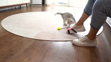 play the cat pole