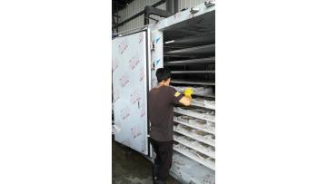 Plate freezer in working for shrimp