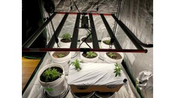M650 Full Spectrum led grow light