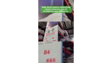 Video 24
