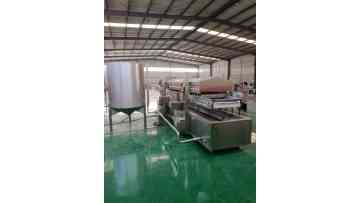 Potato Chips Line