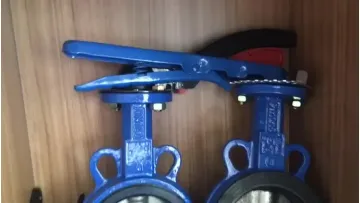 Double Flanged Wafer and Lug Type Butterfly Valve1