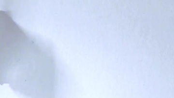 Details video2