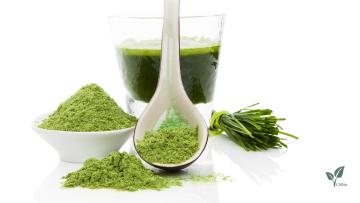 Barley seedling powder