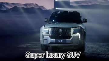 Million Class Luxury SUV Looking Up to U8