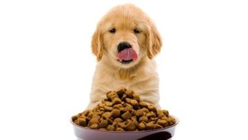 Pet food machine28