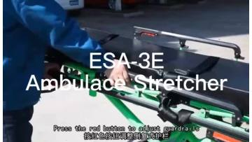 ESA-3E