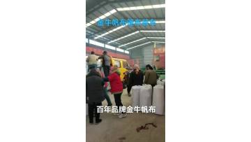 Taurus canvas tarpaulin loading car