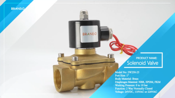 2W250-25 1'' 2 Way Normally Closed Water Air Gas B