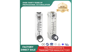 LZT panel flow meter(LZT-8)