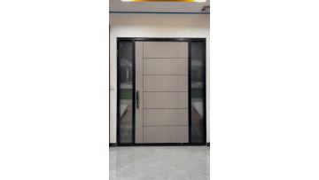 pivot front door for sale