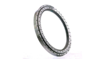 ZW factory Hydraulic Swing Circle High Quality Bearing R210-7 Slewing Ring1