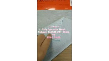 CY-6515 POLY SPANDEX MESH