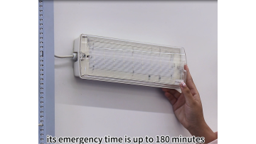 8W LED Emergency Bulkhead Light