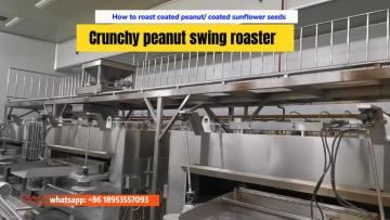 Swing roaster for coated peanut