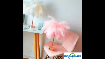 Tik Tok HOT Style LED Desk Lamp Creative Ins Room Decorative Feather Table Lamp For Background Layout Romantic Night Light1