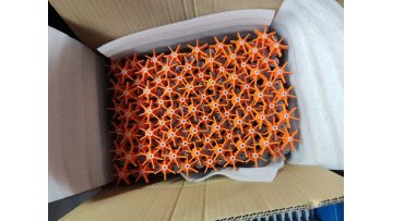 19X30mm carton packing