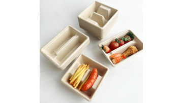 Bagasse taco trays