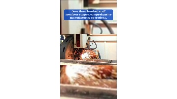 Video 13