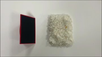EG019N-2.MP4