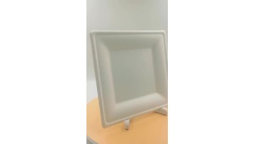 10 inch suqare bagsse plate
