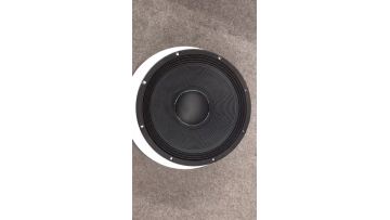 PAUDIO Full Range 18 Inch Woofer C18600LF dj bass 