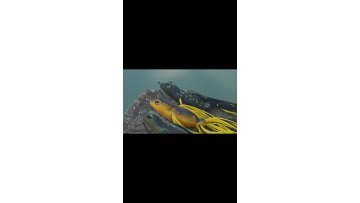 Truscend Fishing Frog Lure walleye pike trout floating soft plastic bait  fishing frog lure for topwater1