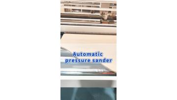 SSA25-H2Wood veneer sanding