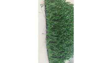 Non-infill football  grass