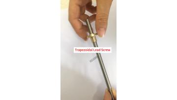 Trapezoidal Lead Screw