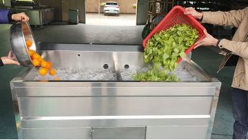 1500 fruit vegetable Washing machine