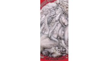 1000-2000 Local Octopus