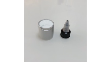 Plastic disc top cap shampoo bottle