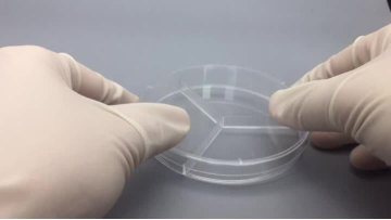 3 compartment petri plate