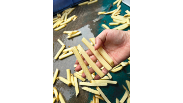 ST-1000 French Fries Cutting Machines