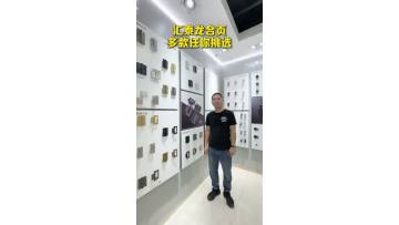 Stainless Steel Hinges