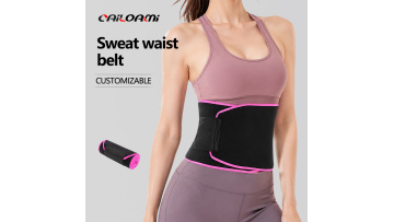 waist support C601