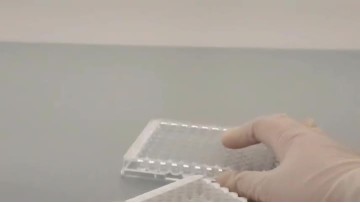 ELISA plate transparent