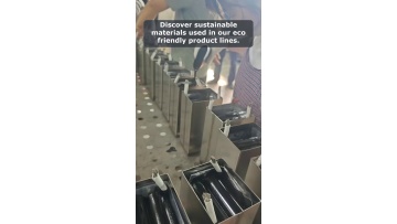 Video 16