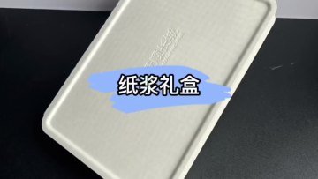 Modern Design Paper Box Customized Logo Pulp Molded Box Packaging1