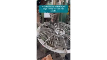 Video 17