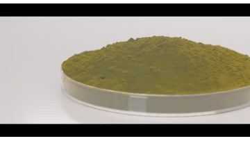 Chlorella Protein Powder