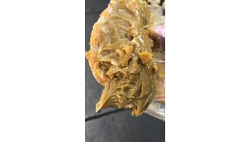 44b3fceab7c41c0ac70488ef1af4f7e0
