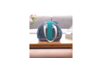 fahsion transparent pet backpack