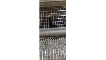 Welded Wire Mesh Rolls /Galvanized PVC Coated Welded Mesh Roll with Factory Price1