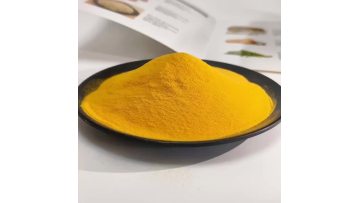 Pumpkin Powder