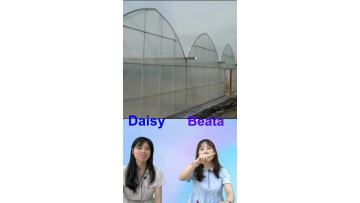 film greenhouse 