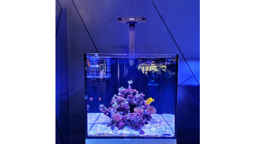 WIFI APP Saltwater led lamp