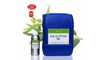 Borui 2023 Wholesale Bulk EUCALYPTUS Essential Oil - Pure Eucalyptus Globulus Aromatherapy1