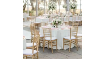 Free sample customization whole sale household Stacking  Outdoor Garden restaurant Hotel Banquet  Iron Metal Wedding chair1